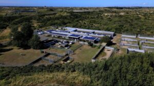 Dieren Bescherming Live Loterij